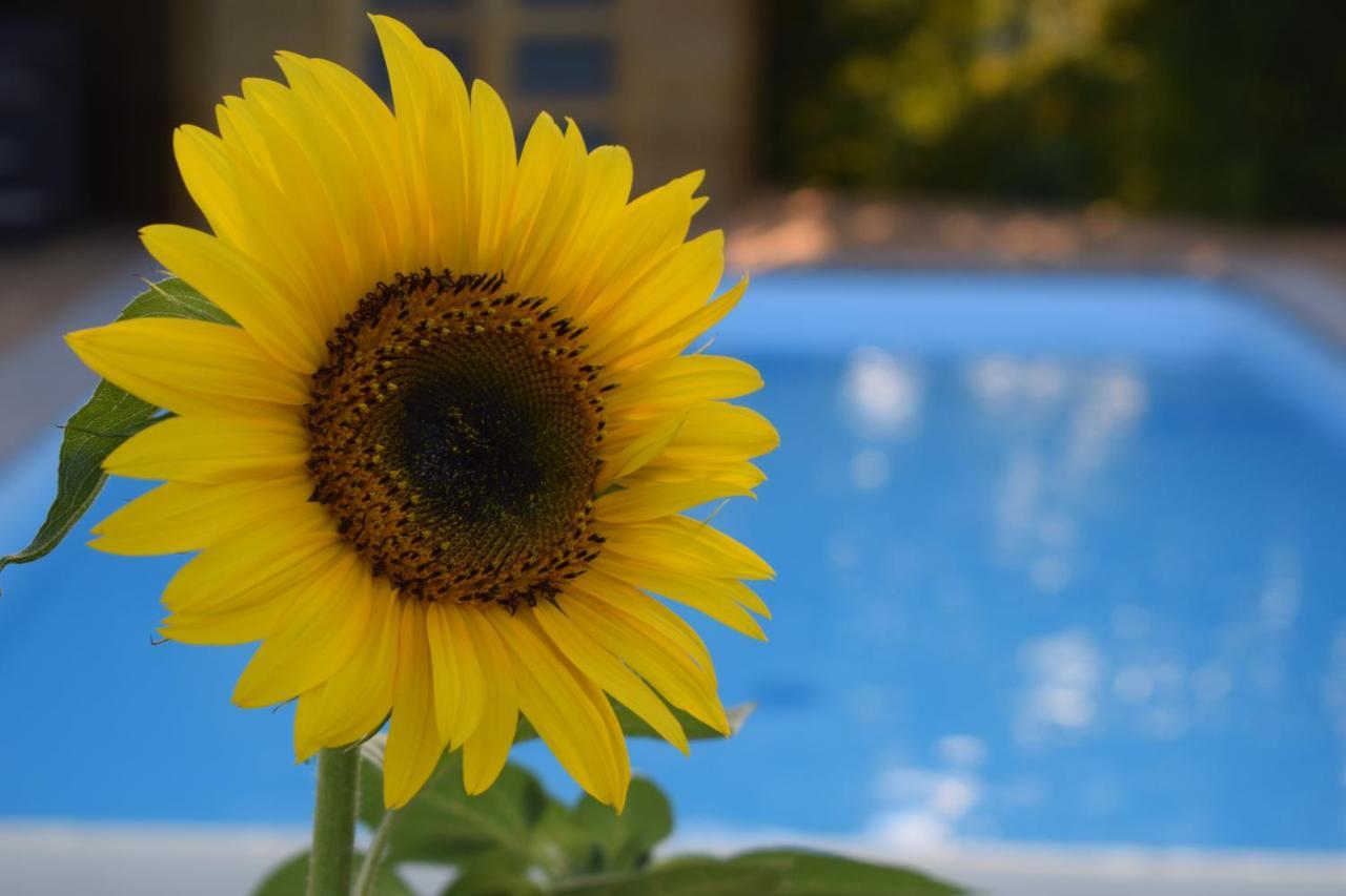 Dans L Air Du Vent Hébergement de vacances Sensenruth